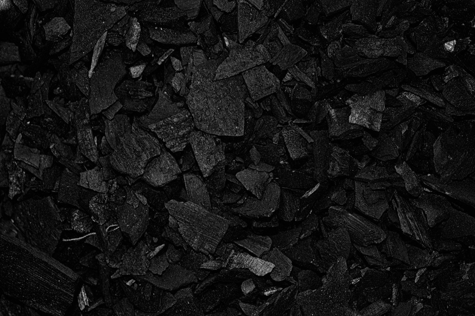 Coconut shell charcoal